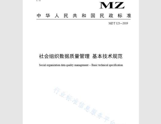 MZ/T 123-2019 社会组织数据质量管理 基本技术规范