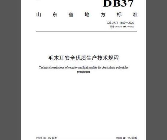 DB37/T 1663-2020 毛木耳安全优质生产技术规程