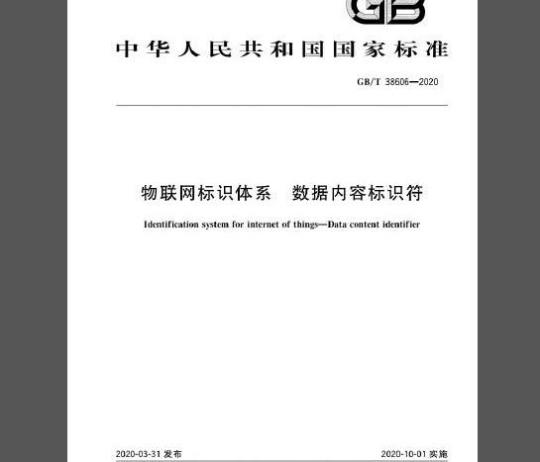 GB/T 38606-2020 物联网标识体系数据内容标识符