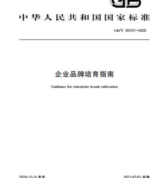 GB/T 38372-2020 企业品牌培育指南