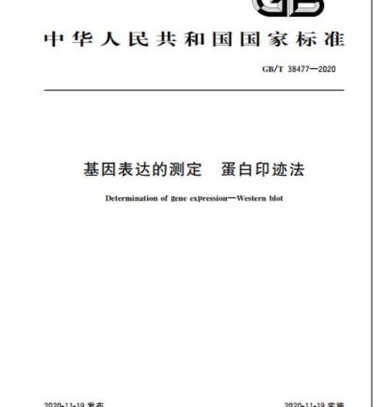 GB/T 38477-2020 基因表达的测定 蛋白印迹法