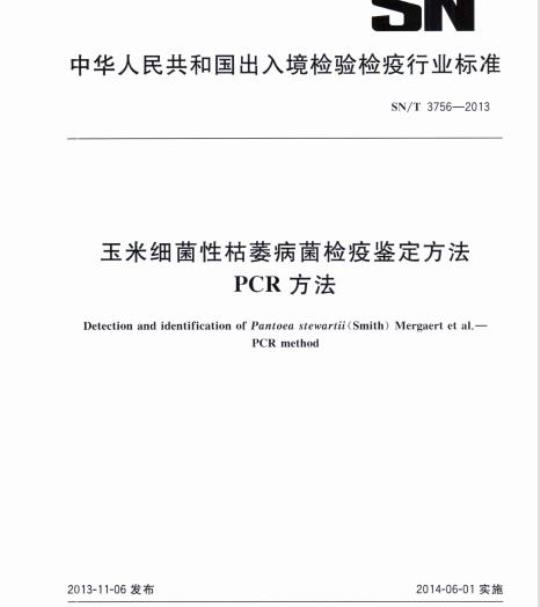 SN/T 3756-2013 玉米细菌性枯萎病菌检疫鉴定方法PCR方法