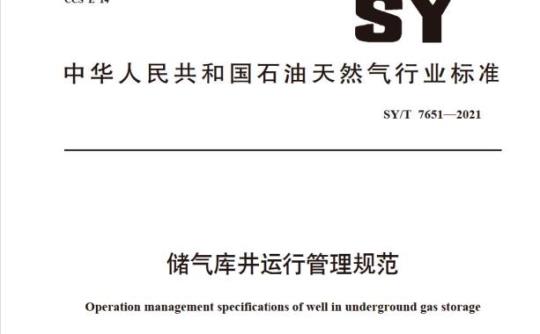 SY/T 7651—2021 储气库井运行管理规范