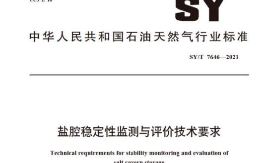SY/T 7646—2021 盐腔稳定性监测与评价技术要求
