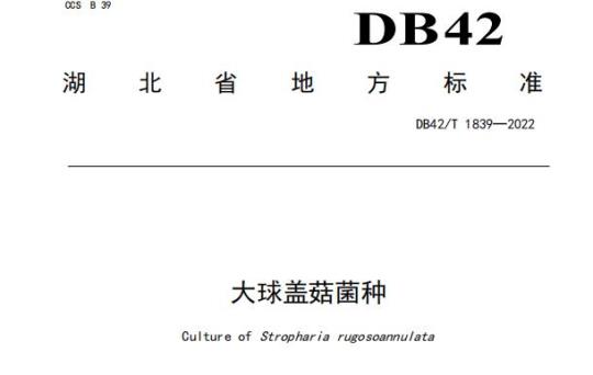 DB42/T 1839-2022 大球盖菇菌种