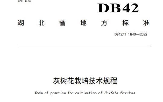 DB42/T 1840-2022 灰树花栽培技术规程