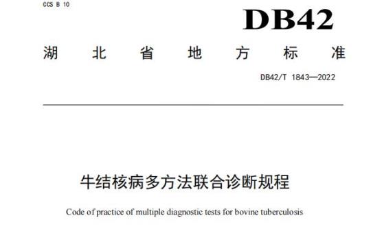 DB42/T 1843——2022 结核病多方法联合诊断规程