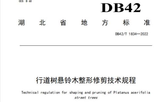DB42/T 1834——2022 行道树悬铃木整形修剪技术规程