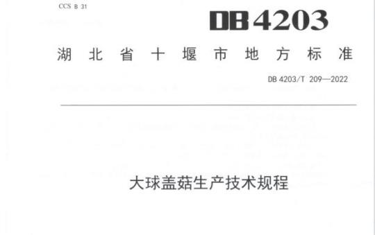 DB 4203/T 209——2022 大球盖菇生产技术规程