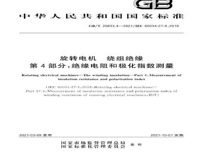 GB∕T 20833.4-2021 旋转电机 绕组绝缘 第4部分：绝缘电阻和极化指数测量