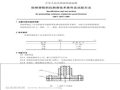 GB/T 12017-1989 防刺穿鞋的抗刺穿技术条件及试验方法