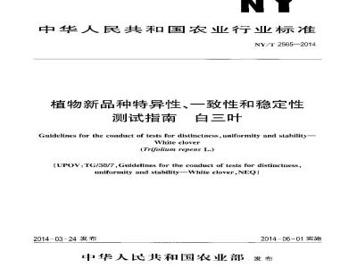 NY/T 2565-2014 植物新品种特异性、一致性和稳定性测试指南 白三叶