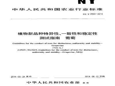NY/T 2563-2014 植物新品种特异性、一致性和稳定性测试指南 葡萄