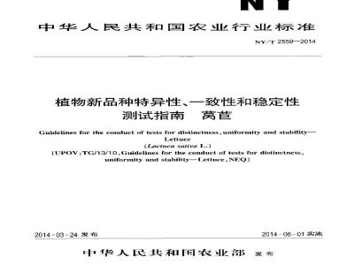 NY/T 2559-2014 植物新品种特异性、一致性和稳定性测试指南 莴苣