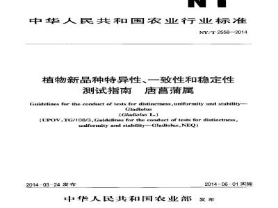 NY/T 2558-2014 植物新品种特异性、一致性和稳定性测试指南 唐菖蒲属