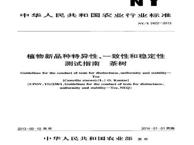 NY/T 2422-2013 植物新品种特异性、一致性和稳定性测试指南 茶树
