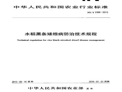 NY/T 2386-2013 Technical regulations for the prevention and control of rice black-streaked dwarf disease