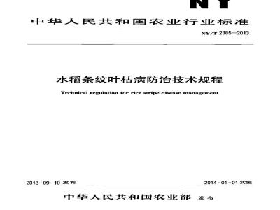 NY/T 2385-2013 水稻条纹叶枯病防治技术规程