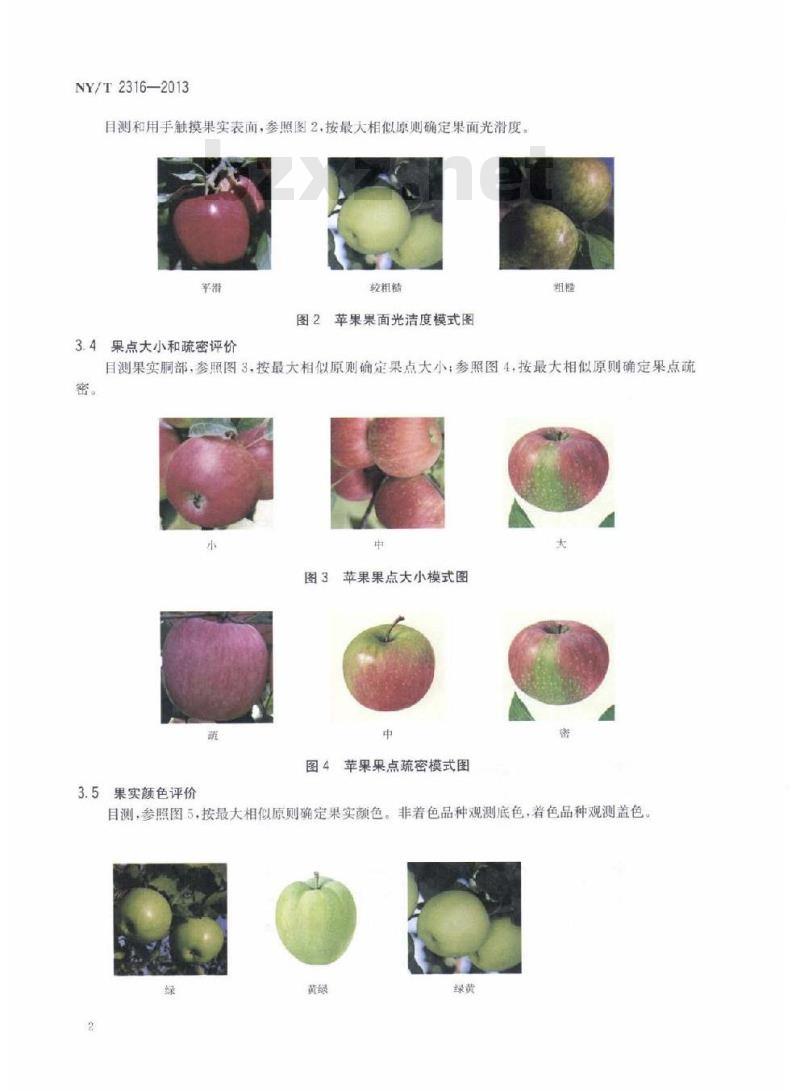 NY/T 2316-2013 苹果品质指标评价规范 NY/T 2316-2013 苹果品质指标评价规范
