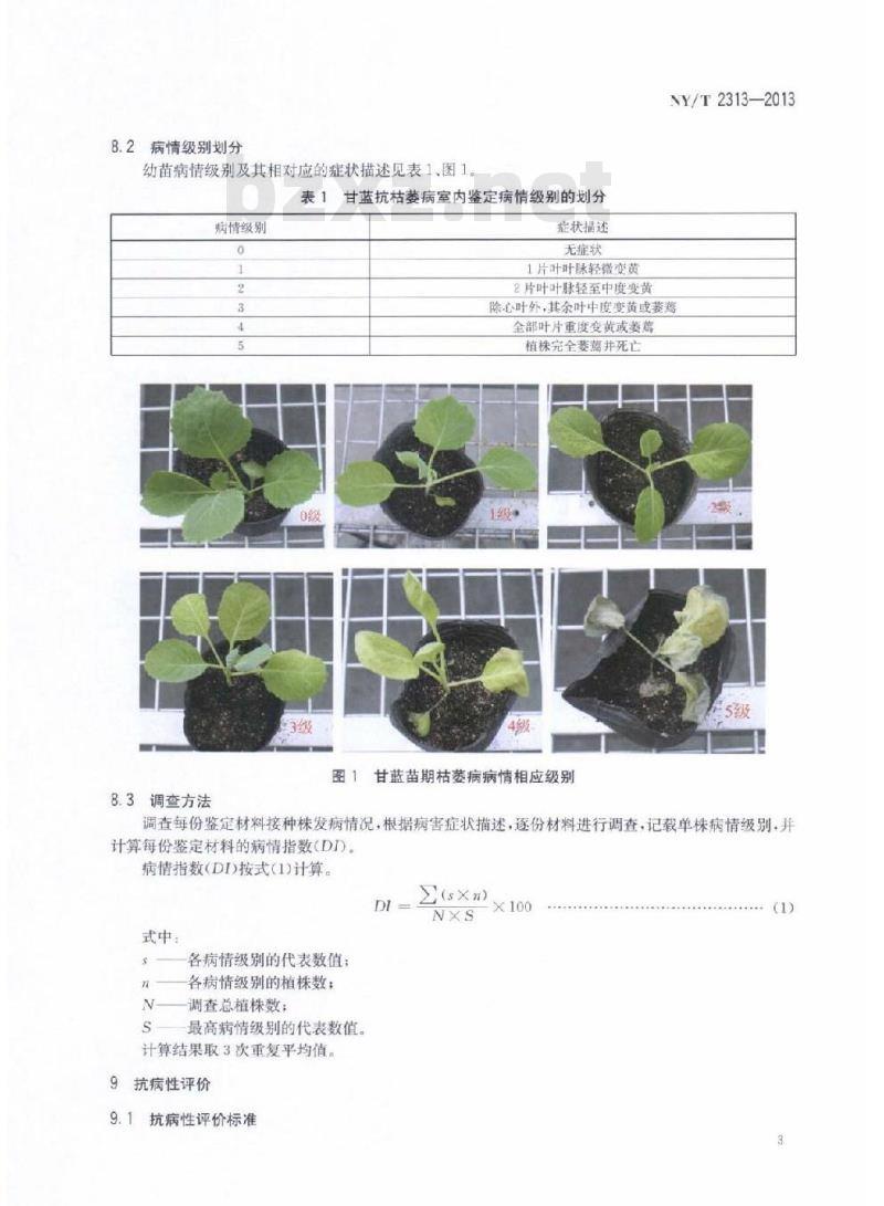 NY/T 2313-2013 甘蓝抗枯萎病鉴定技术规程 NY/T 2313-2013 甘蓝抗枯萎病鉴定技术规程