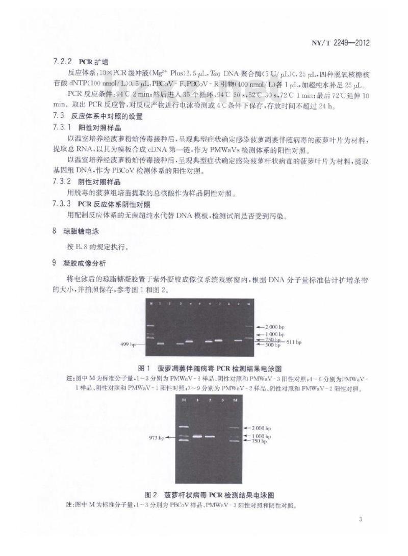 NY/T 2249-2012 菠萝凋萎病病原分子检测技术规范