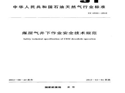 SY 6922-2012 煤层气井下作业安全技术规范
