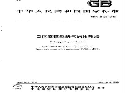 GB/T 30196-2013 自体支撑型缺气保用轮胎