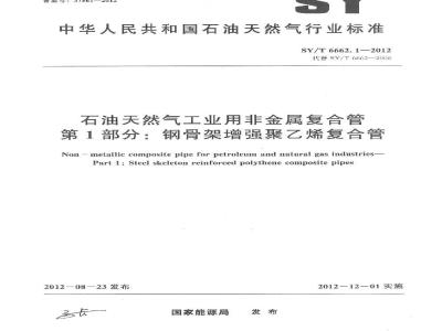 SY/T 6662.1-2012 石油天然气工业用非金属复合管 第1部分:钢骨架增强聚乙烯复合管