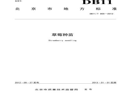 DB11/T 905-2012 草莓种苗