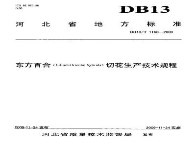 DB13/T 1158-2009 东方百合