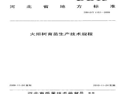 DB13/T 1157-2009 火炬树育苗生产技术规程