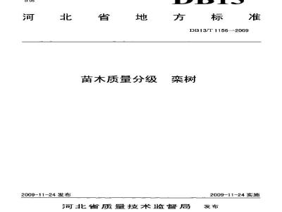 DB13/T 1156-2009 苗木质量分级 栾树