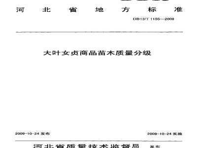 DB13/T 1155-2009 大叶女贞商品苗木质量分级