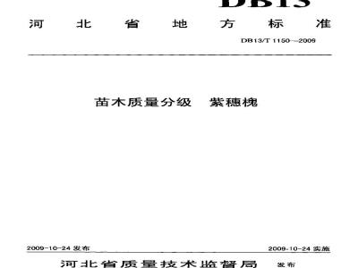 DB13/T 1150-2009 苗木质量分级 紫穗槐