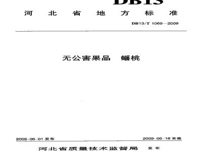 DB13/T 1069-2009 无公害果品 蟠桃