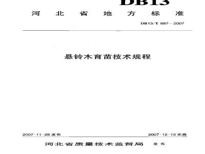 DB13/T 887-2007 悬铃木育技术规范