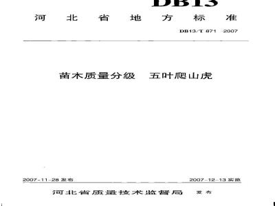 DB13/T 871-2007 苗木质量分级 五叶爬山虎