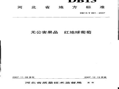 DB13/T 861-2007 无公害果品红地球葡萄