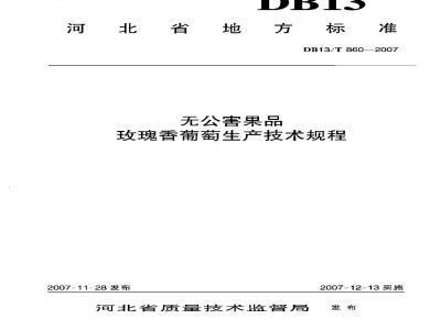 DB13/T 860-2007 无公害果品玫瑰香葡萄生产技术规程