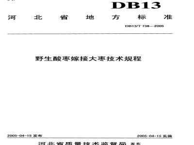 DB13/T 736-2005 野生酸枣嫁接大枣技术规程