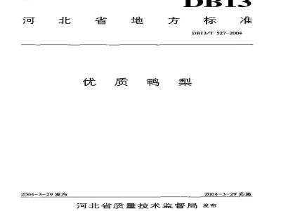 DB13/T 527-2004 优质鸭梨