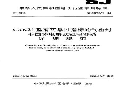 SJ 50733.1-1994 CAK31型有可靠性指标的气密封非固体电解质钽电容器详细规范