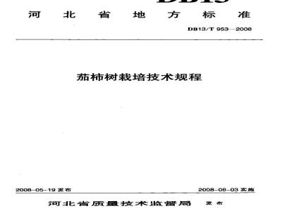 DB13/T 953-2008 茄柿树栽培技术规程
