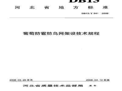 DB13/T 941-2008 葡萄防雹防鸟网架设技术规程