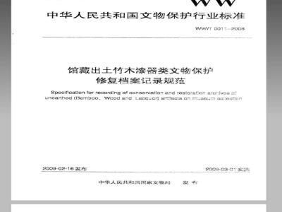 WW/T 0011-2008 馆藏出土竹木漆器类文物保护修复档案记录规范