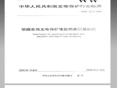 WW/T 0010-2008 馆藏金属文物保护修复档案记录规范