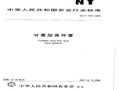 NY/T 1200-2006 甘薯脱毒种薯