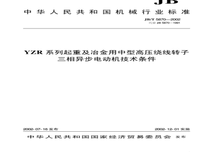 JB/T 5870-2002 Technical requirements for YZR series medium-sized high-voltage wound rotor three-phase asynchronous motors for hoisting and metallurgy