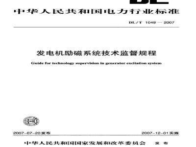 DL/T 1049-2007 发电机励磁系统技术监督规程