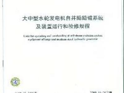 DL/T 491-2008 大中型水轮发电机自并励励磁系统及装置运行和检修规程